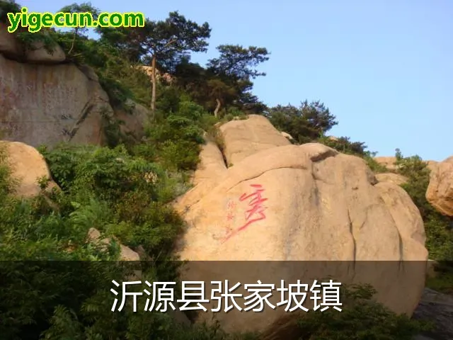 沂源县张家坡镇